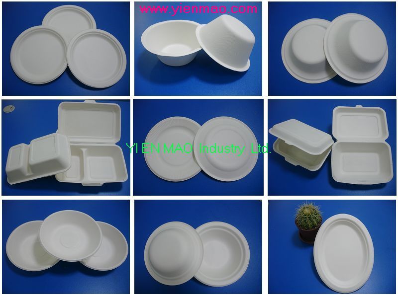 Disposable Lunch box , bowl, dish, tray