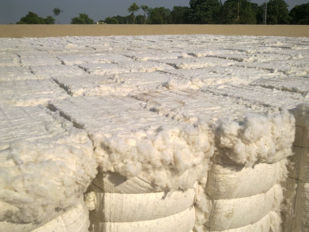 Raw Cotton