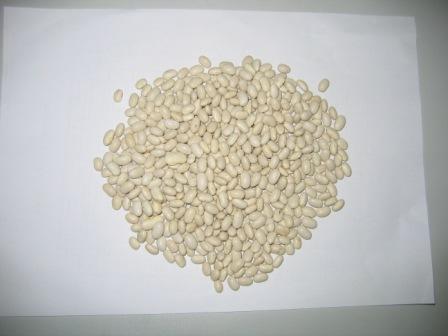 white kidney beans