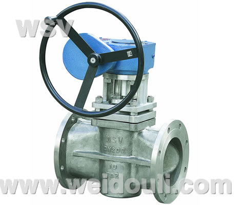 Titanium Plug Valve