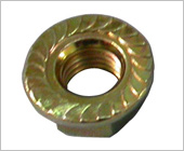 flange nut