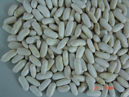 white kidney beans