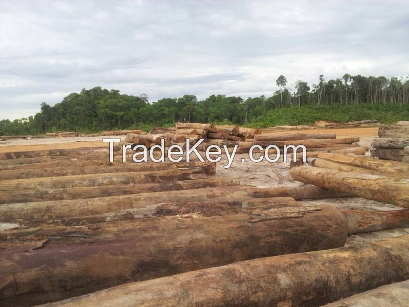 Suriname Hardwoods