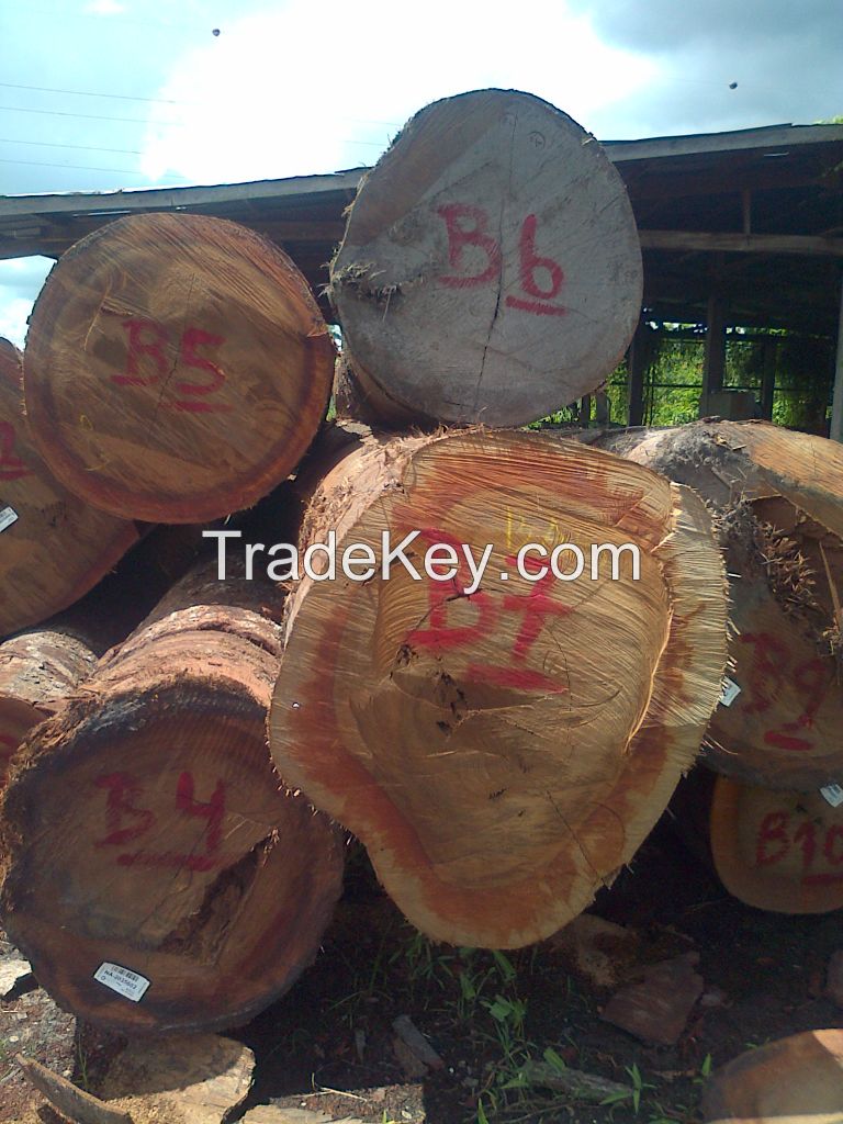Suriname Hardwoods