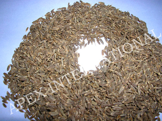 Exporter Cumin Seeds , / Fennel Seeds /   Fenugreek Seeds