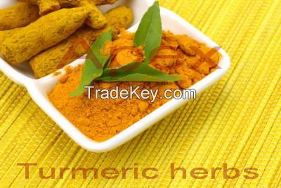 Turmeric Extract 