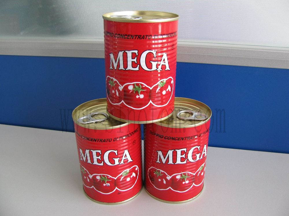 tomato paste (400g*24tins)