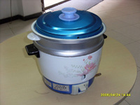 biogas cooker