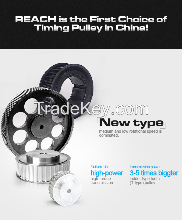 Timing pulley
