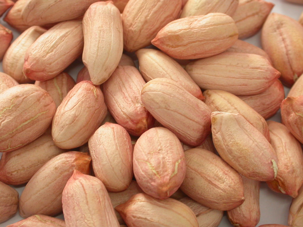 High Graded Groundnut