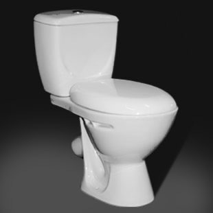 Washdown Close-coupled Toilet