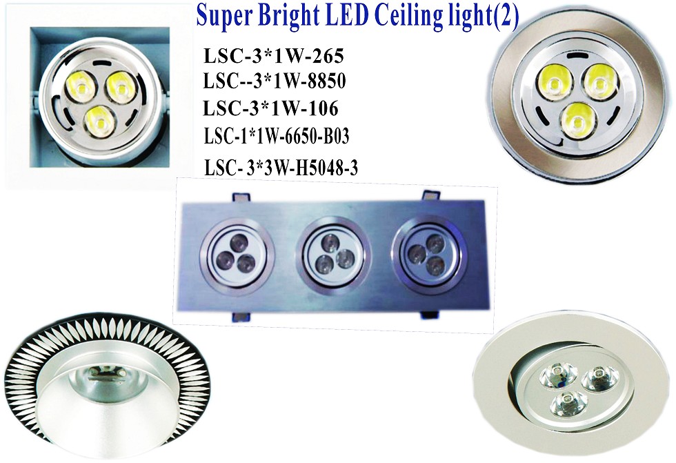 Super Bright LED Ceiling Light