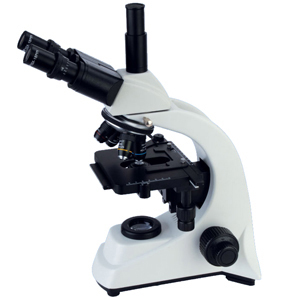 Trinocular Head Microscopes
