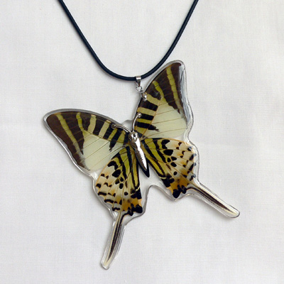 Real Butterfly Necklaces