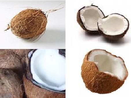 Coconut Fruit