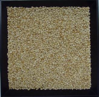 Natural Sesame