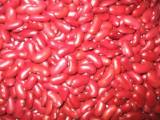 Red Kidney Bean ( British Type