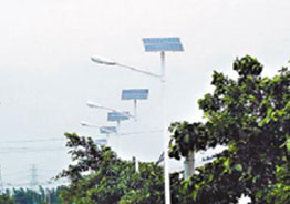solar street light& solar street lighing system