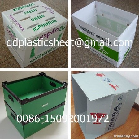 PP Corrugated Plastic Box