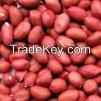 FRESH PEANUTS IN SHELL/GROUNDNUTS WITH SHELL/RAW PEANUTS WITH SHELLPeanuts