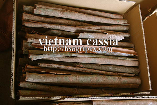 Cassia (cinnamon)