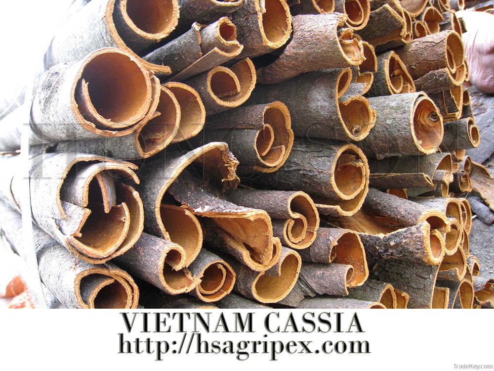 Vietnam cassia (Vietnam cinnamon)