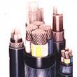 XLPE insulated PVC sheathed cable