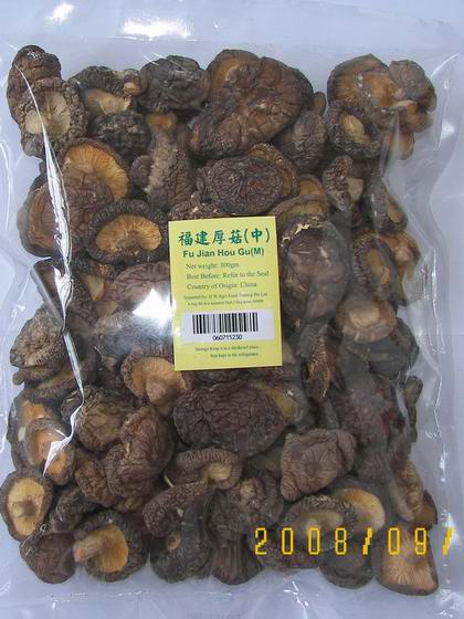 FU JIAN Thick Mushroom