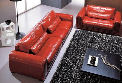 Modern leather sofa