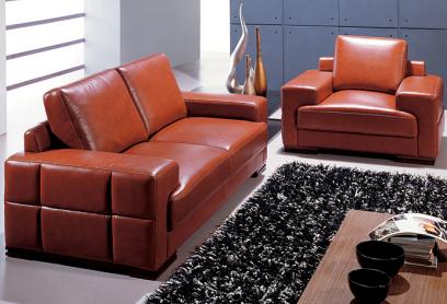 fashion leather sofa