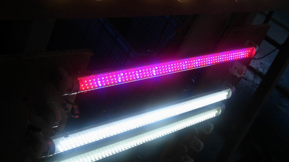 LED T10  fluorescent light