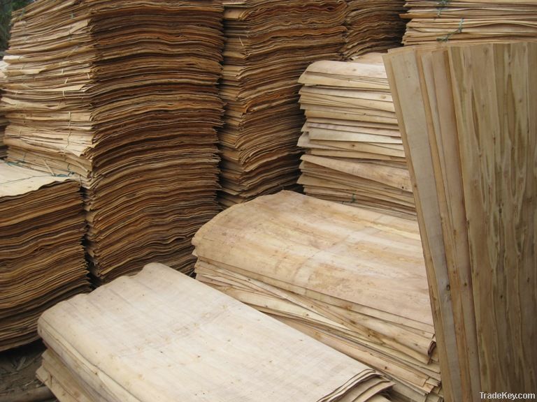 EUCALYPTUS  CORE VENEER