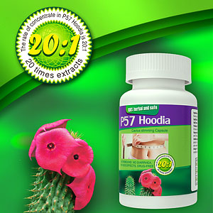 Weight Loss P57 Hoodia Cactus, Weight Loss Capsule, Herbal Weight Loss