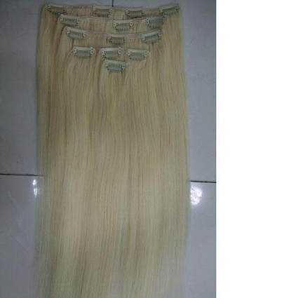 clips human hair extensions