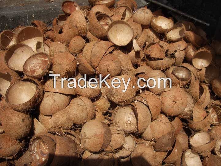 Wholesale Best Quality Raw Coconut Shell and Palm Kernel Shell Material Agriculture Waste