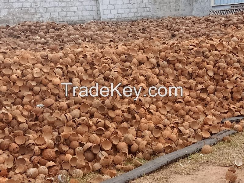 Wholesale Best Quality Raw Coconut Shell and Palm Kernel Shell Material Agriculture Waste