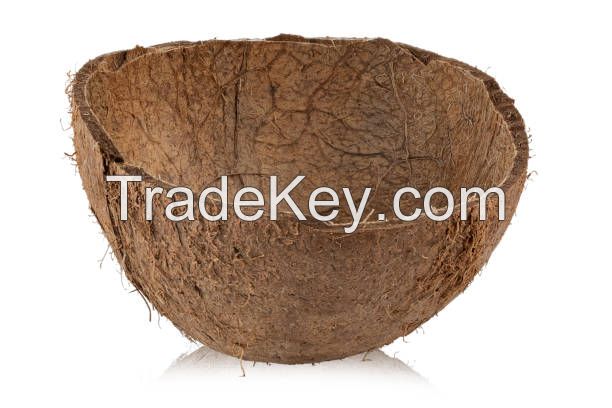 Raw Coconut Shell