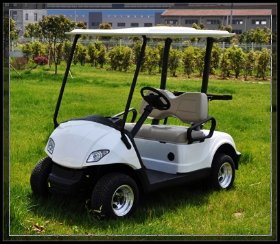 New Golf Cart