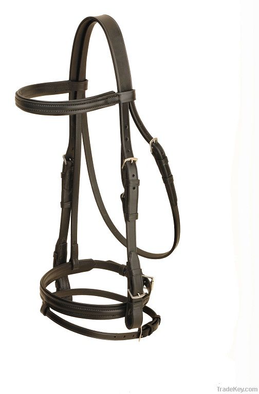 Bridle