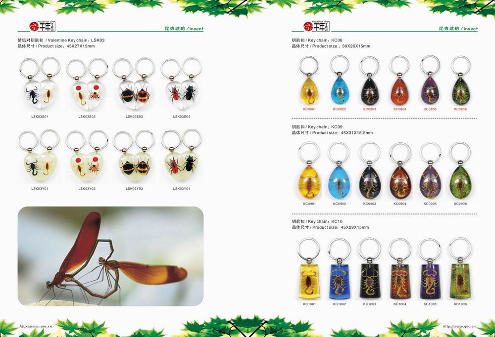 insect amber key chain