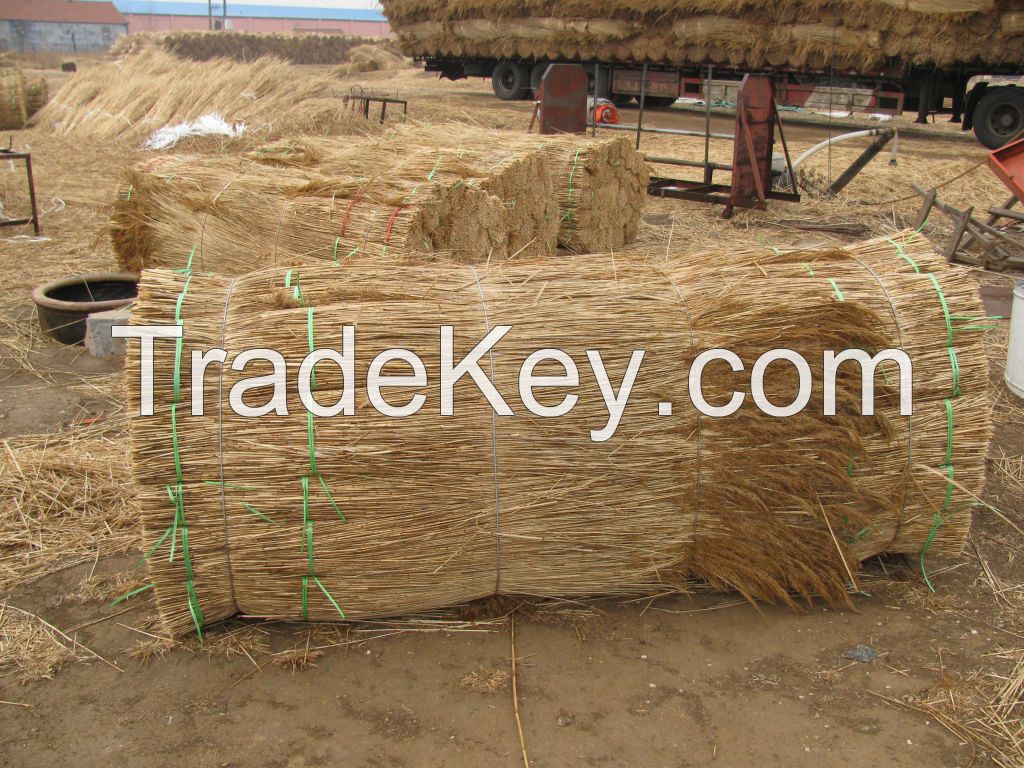 roofing reed
