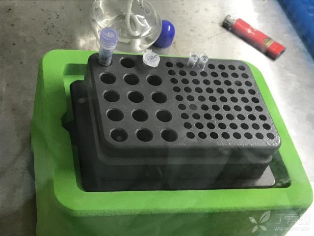 cell freezing container