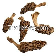 Dried Morel Mushrooms 