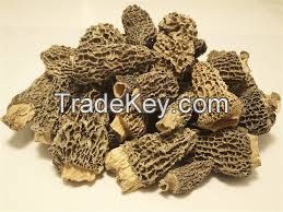 Dried Morel Mushrooms 