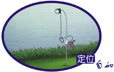 led fishing lamp