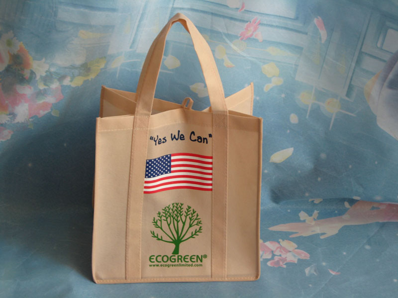 ECO Friendly Shopping bag