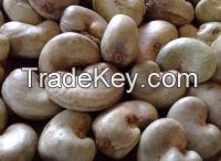 Raw cashew nut