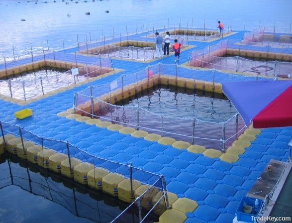 Fish Farm