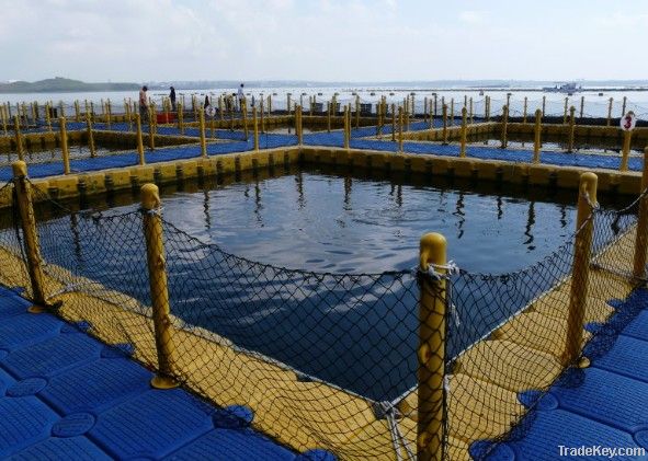 Fish Farm