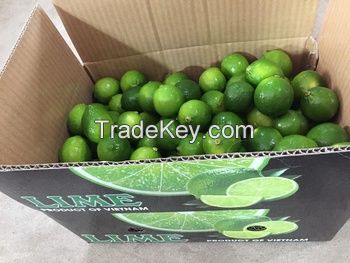 (KIM MINH INTERNATIONAL) OFFER ABOUT FROZEN LEMON FROM VIET NAM 